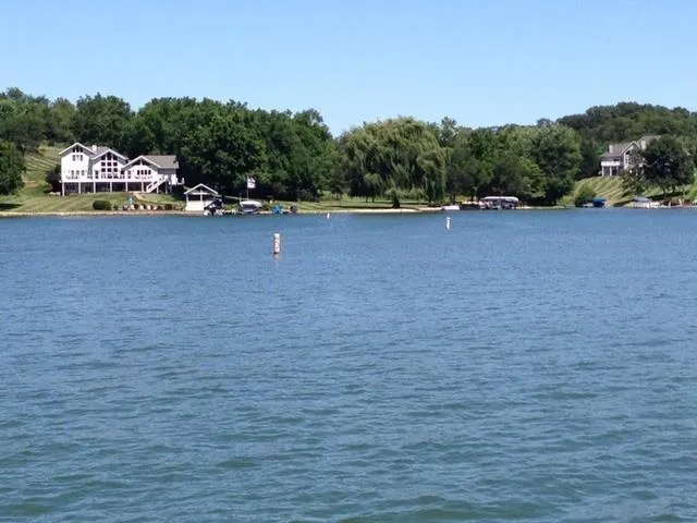 a view of a town with large trees