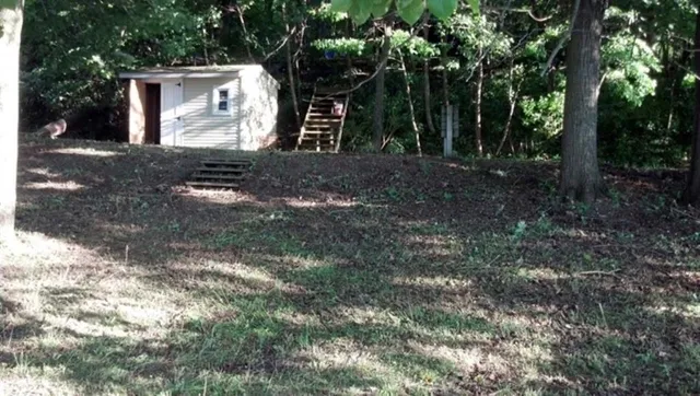 a view of a forest with trees in the background