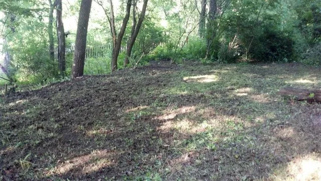 a view of outdoor space with trees
