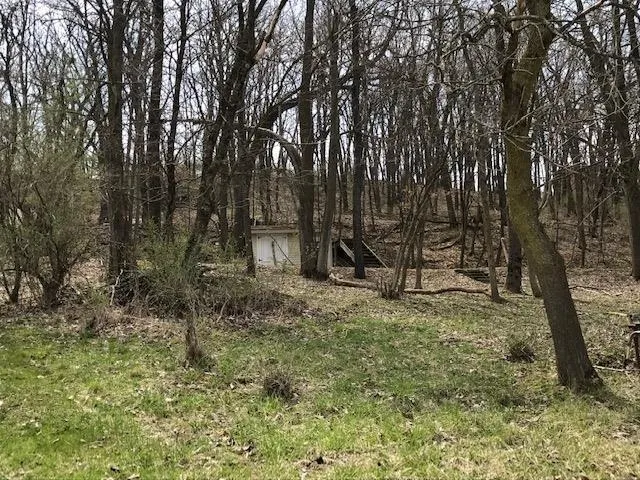 a view of outdoor space with lots of trees