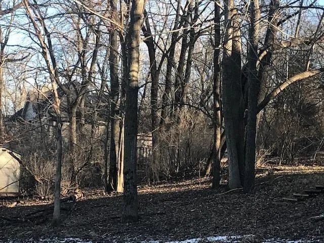 a backyard of a house with lots of green space