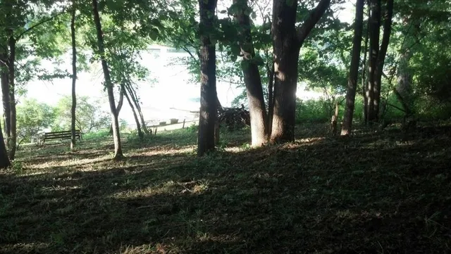 a backyard of a house with lots of green space