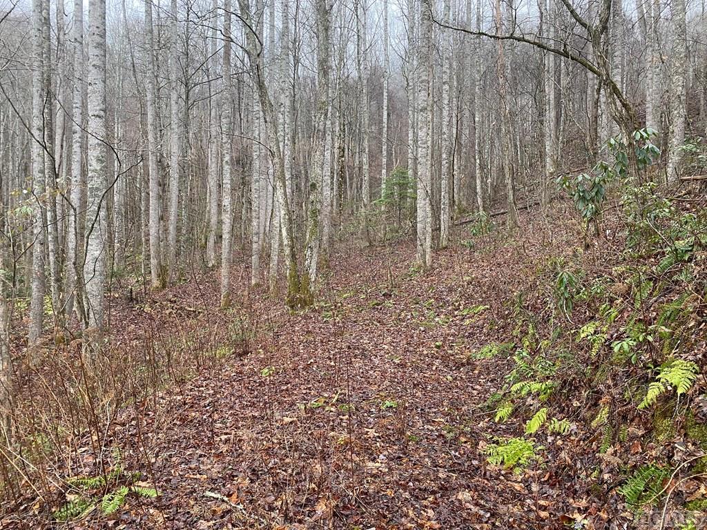 17 B Forest Ridge Road Whittier, NC 28789 - Photo 7 of 10 Gallery Image 7