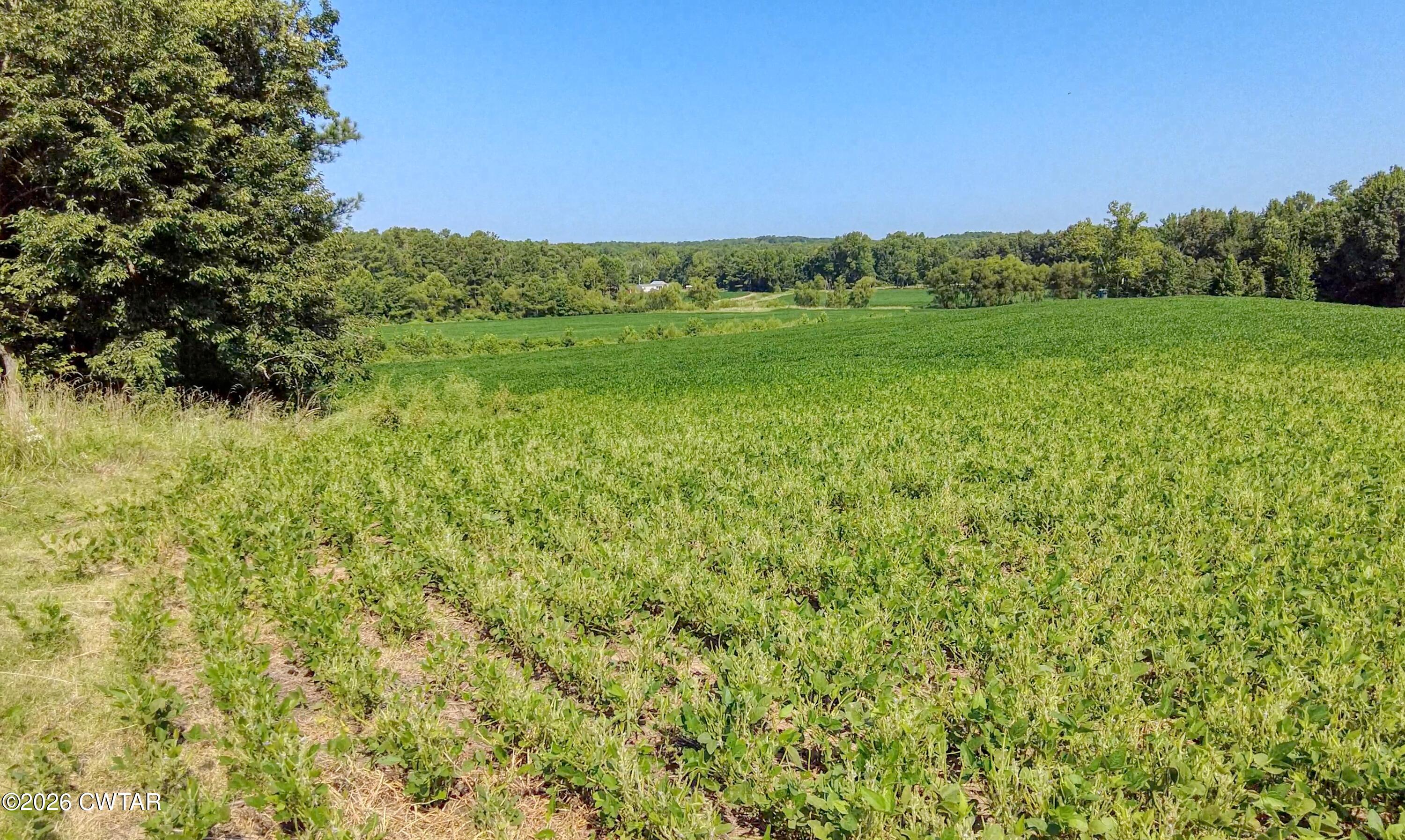 0 Finch Road Gleason, TN 38229 - Photo 11 of 25 HH8