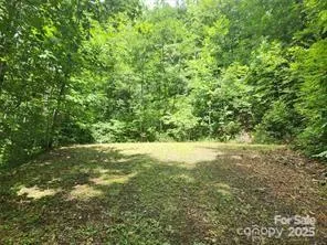 a view of a yard with a tree