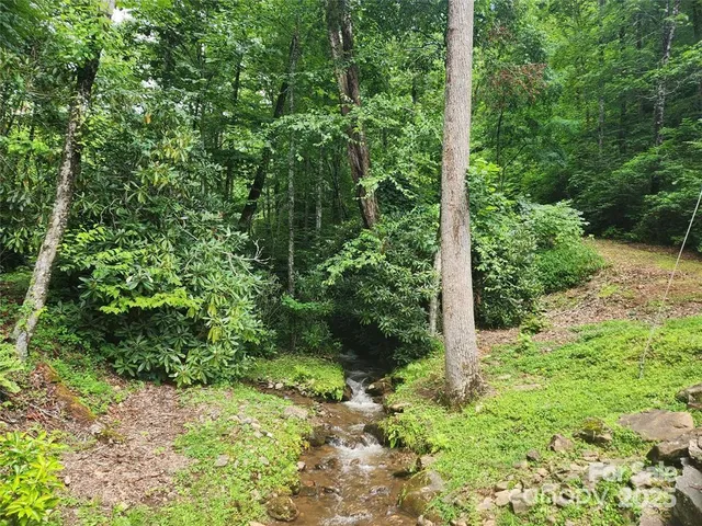 a view of a garden with plants