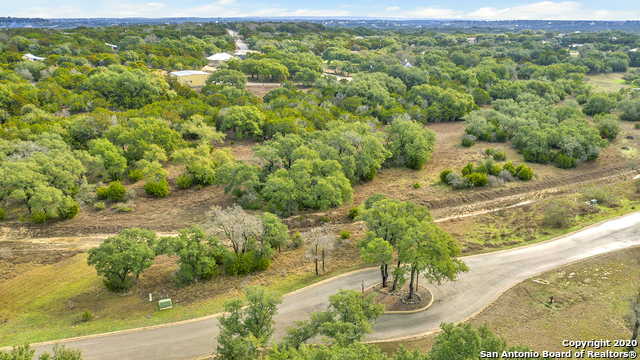 a view of a garden with a lot of houses