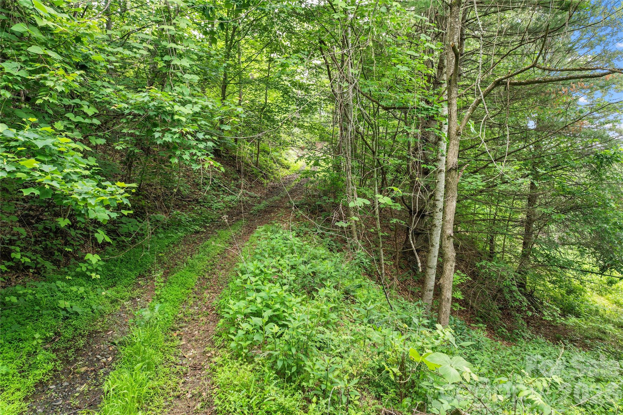 000 Bee Branch Road, Unit 14AC Bakersville, NC 28705 - Photo 13 of 19