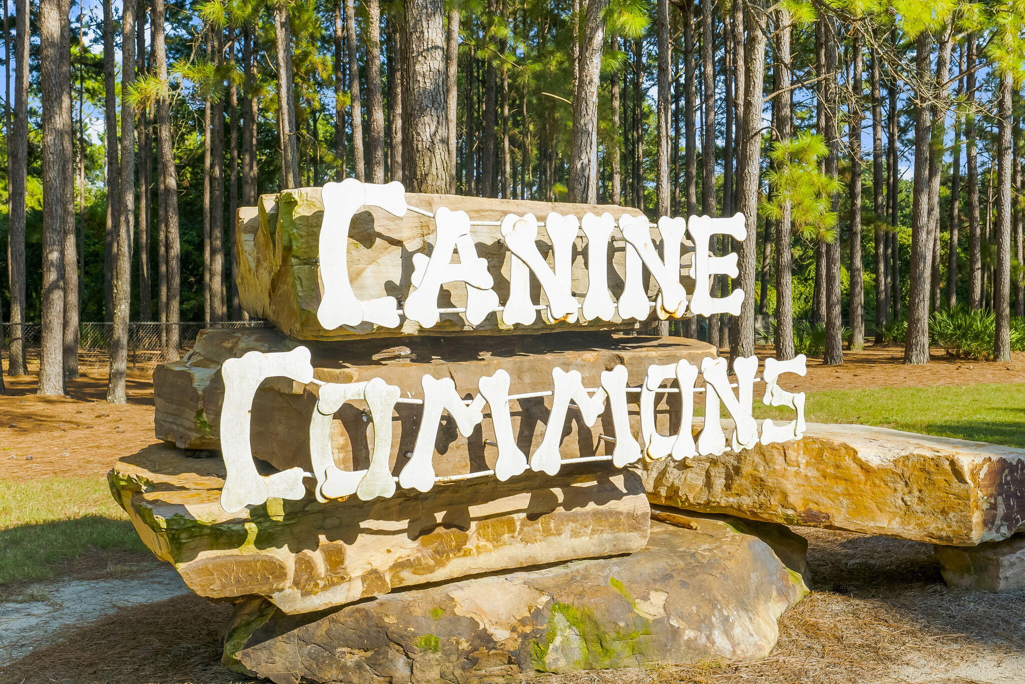 51 Leap Year Lane Freeport, FL 32439 - Photo 58 of 75 a view of swimming pool with a patio