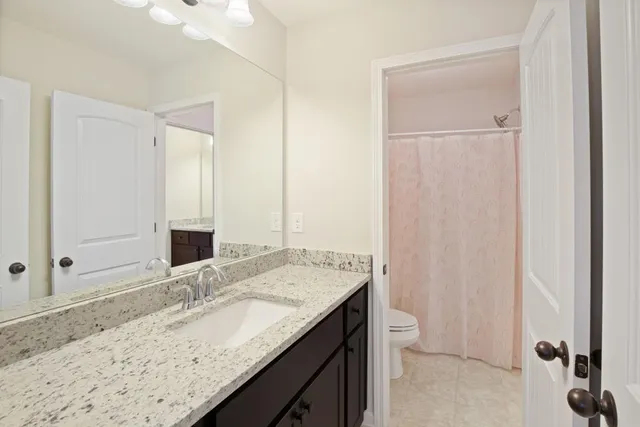 a view of a backyard with plants and large trees