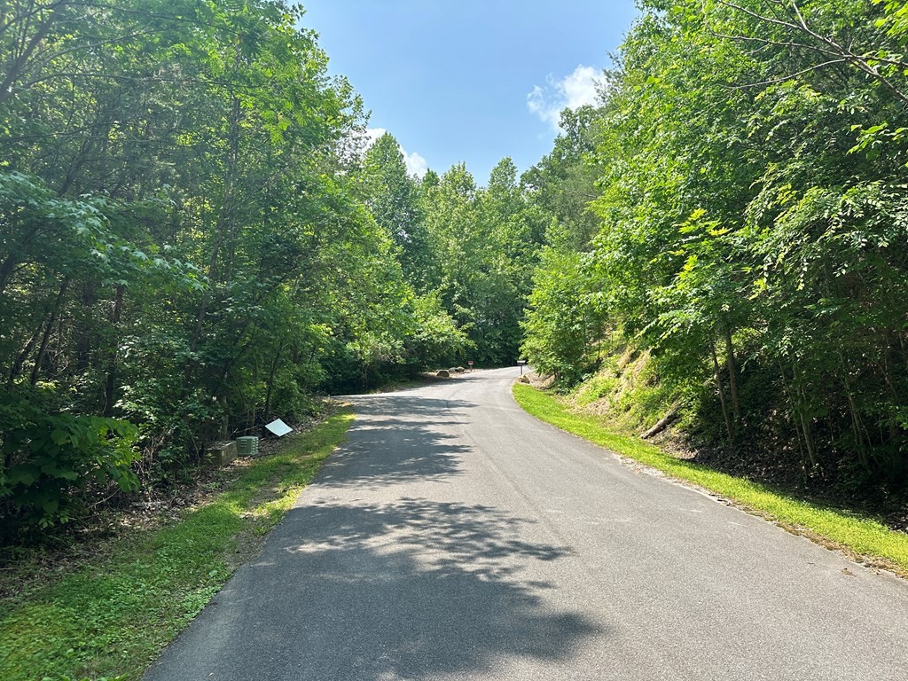 49 Piney Ridge Way Sevierville, TN 37862 - Photo 8 of 8