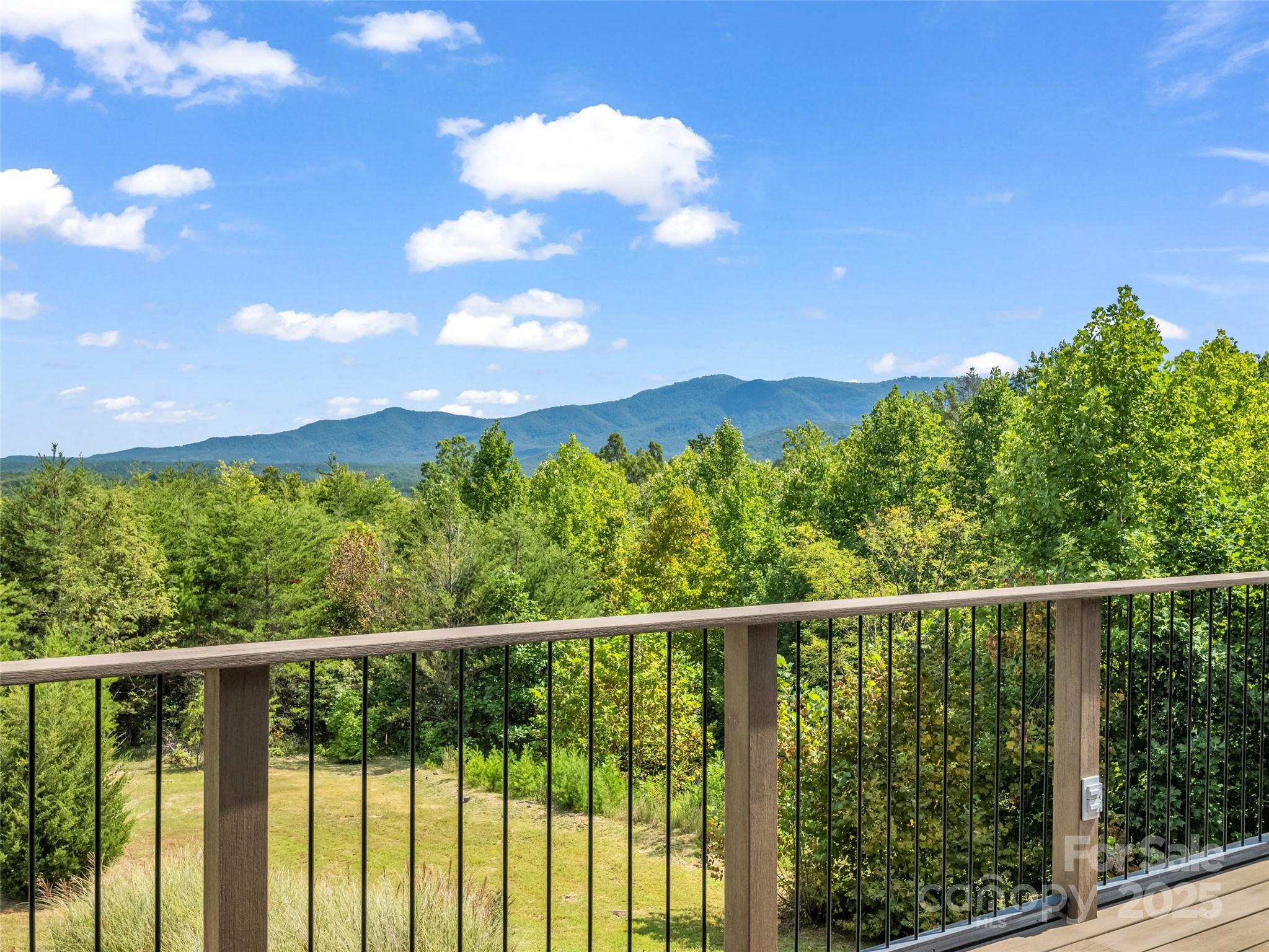 2435 Deep Gap Farm Road East Mill Spring, NC 28756 - Photo 24 of 44 a view of a forest
