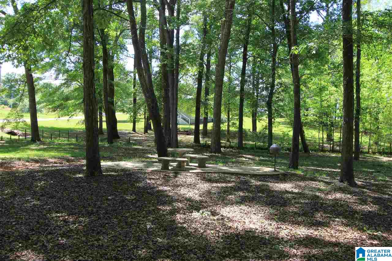 240 Jake Drive Sylacauga, AL 35151 - Photo 50 of 50
