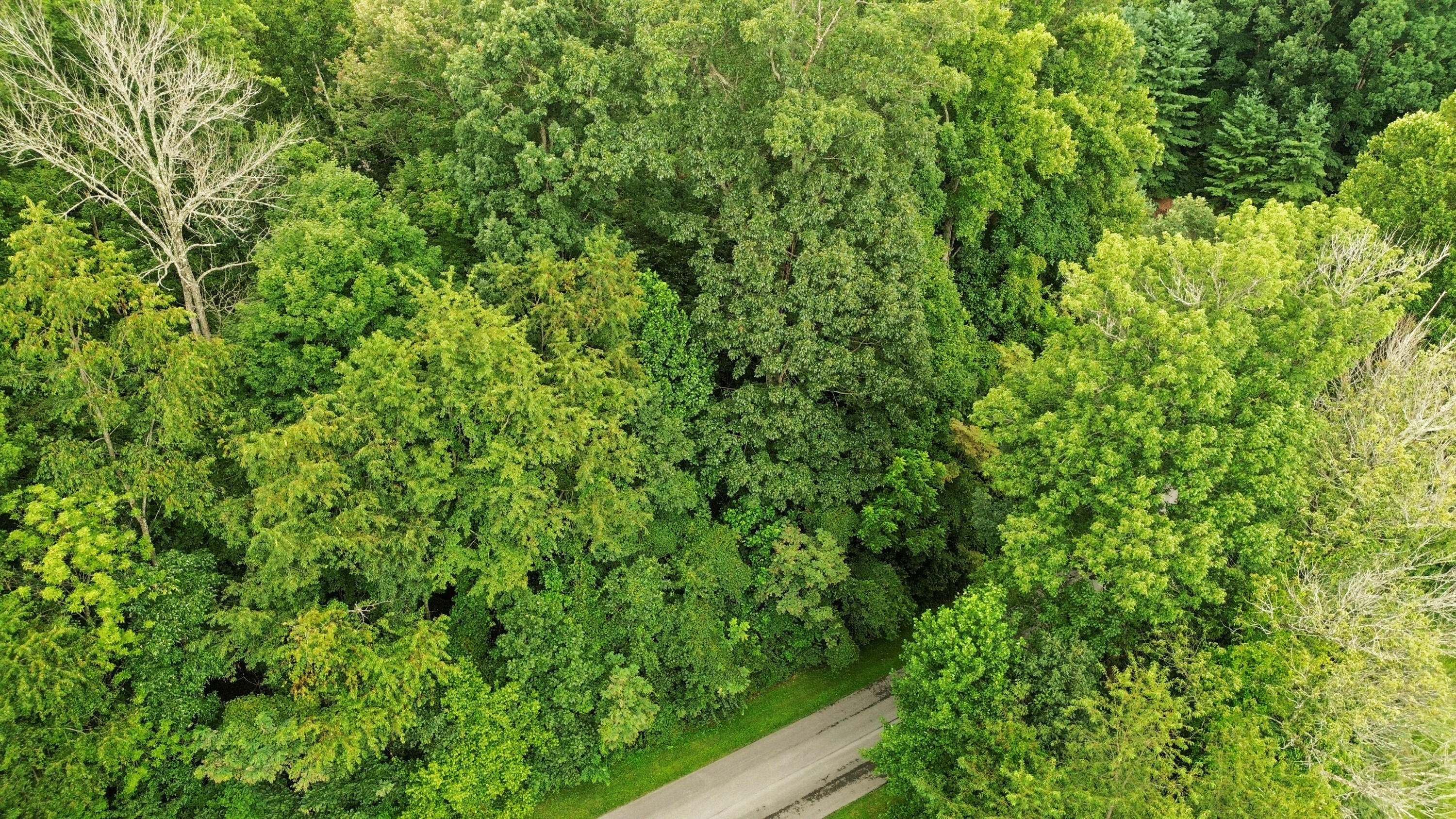 Tbd Stonewall Ridge, Unit LOT 24 Bristol, VA 24202 - Photo 2 of 2 24-2