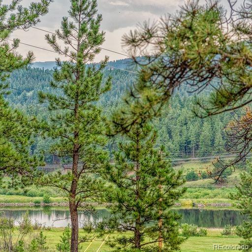 153 Hangmans Road Bailey, CO 80421 - Photo 1 of 18 Gallery Image 1