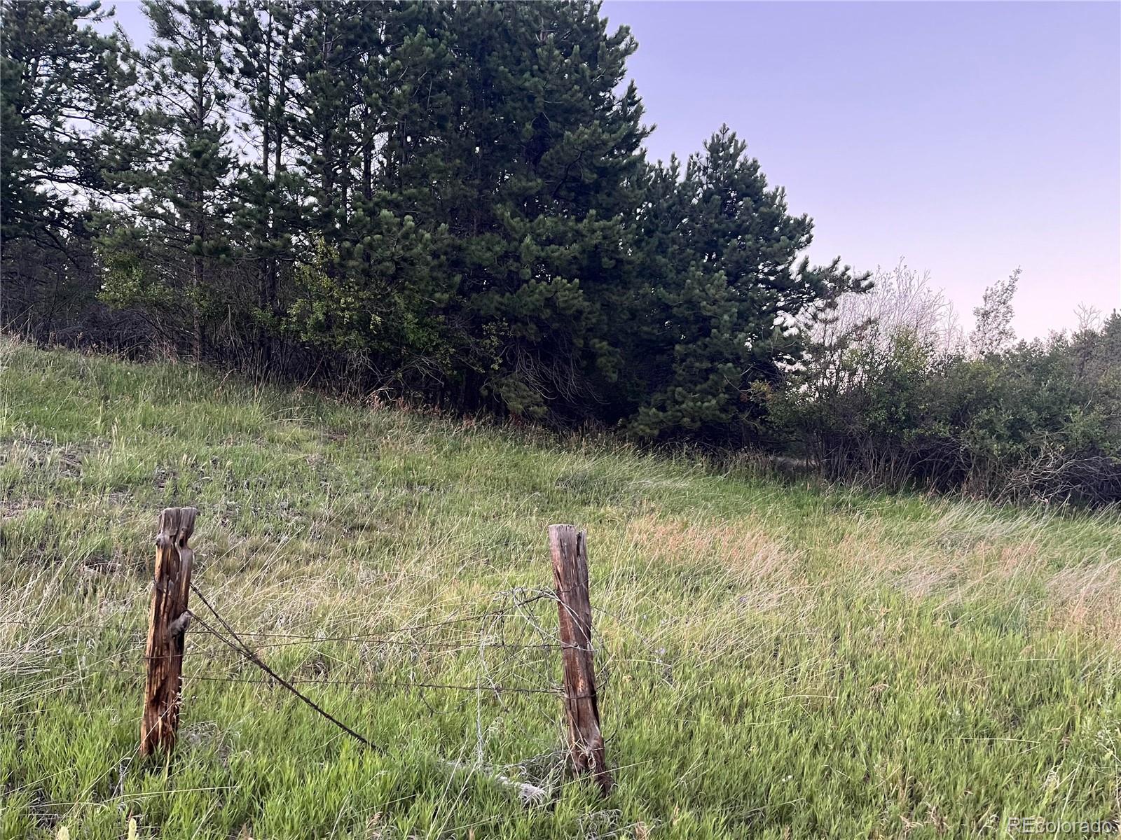 153 Hangmans Road Bailey, CO 80421 - Photo 16 of 18 Gallery Image 16