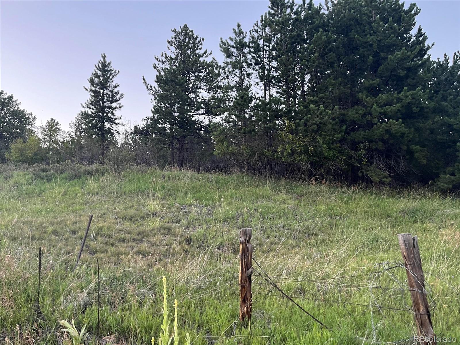 153 Hangmans Road Bailey, CO 80421 - Photo 17 of 18 Gallery Image 17