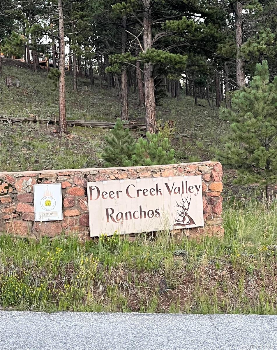 153 Hangmans Road Bailey, CO 80421 - Photo 18 of 18 Gallery Image 18