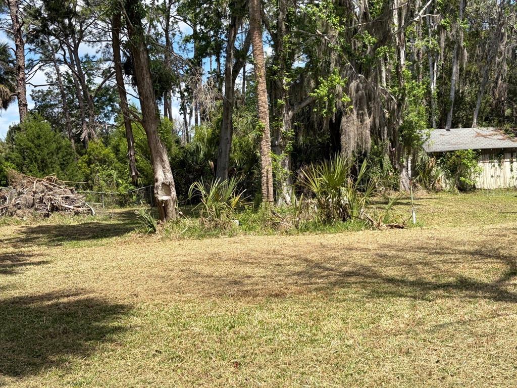 38 65th Street Yankeetown, FL 34498 - Photo 2 of 15 a view of a yard with a tree