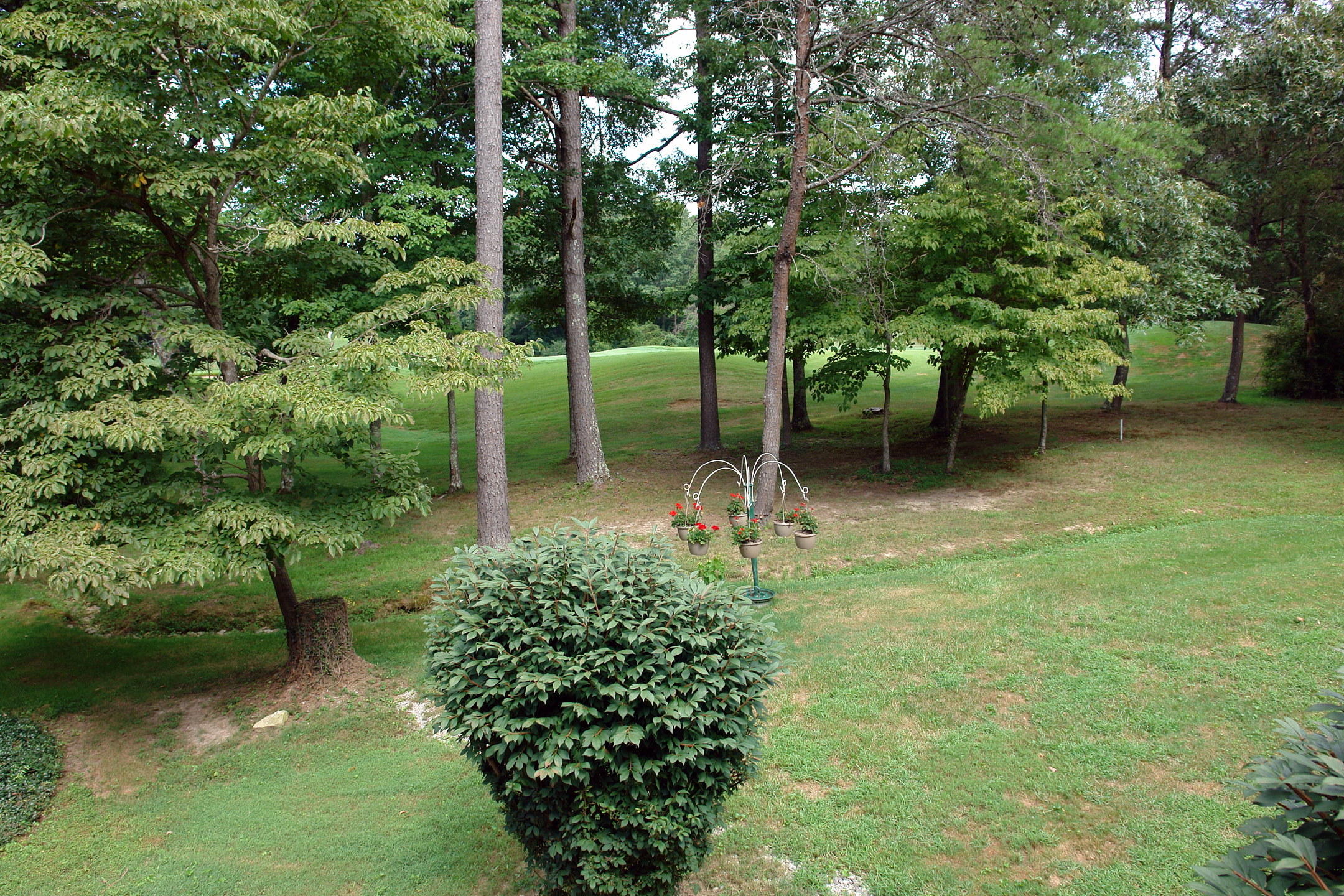 104 Malvern Road Crossville, TN 38558 - Photo 6 of 37 DSC01905