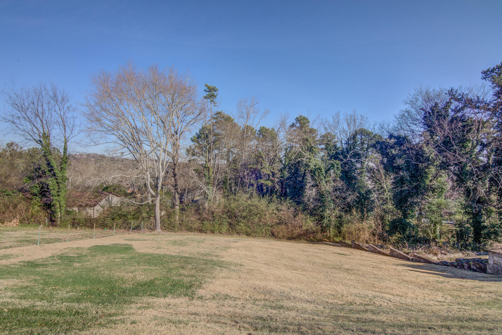 3619 Phelps Street East Ridge, TN 37412 - Photo 21 of 23 Back Yard