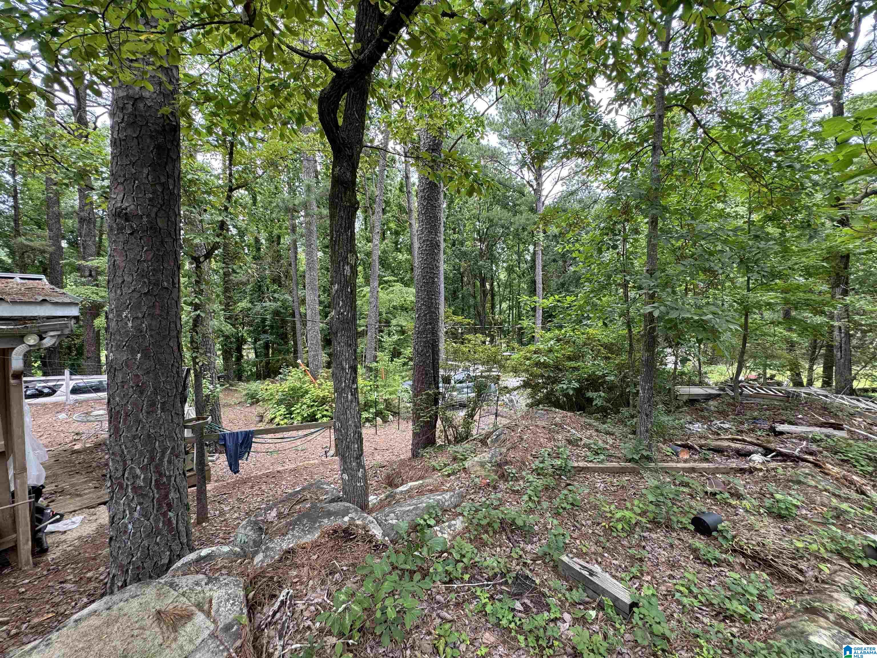 4222 Seven Bark Road Birmingham, AL 35242 - Photo 3 of 3
