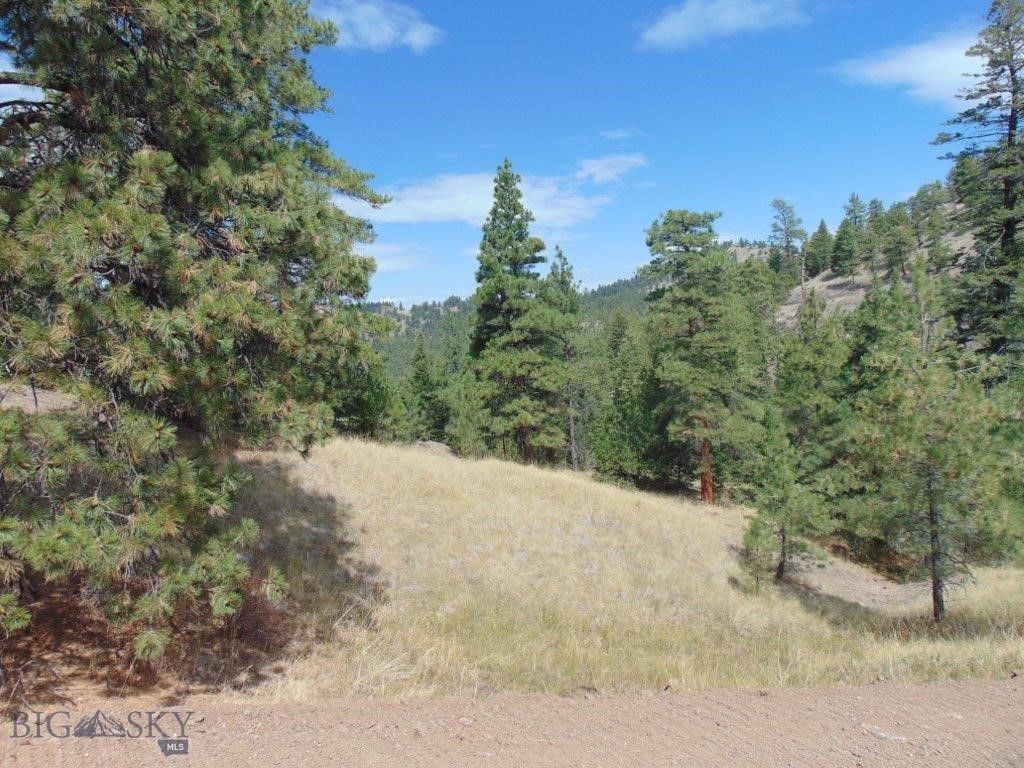 Tbd Shady Spring Lane Cascade, MT 59421 - Photo 74 of 78 Gallery Image 74