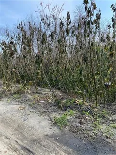 $16,000 | 41373 Curran Boulevard, New Orleans, LA 70128