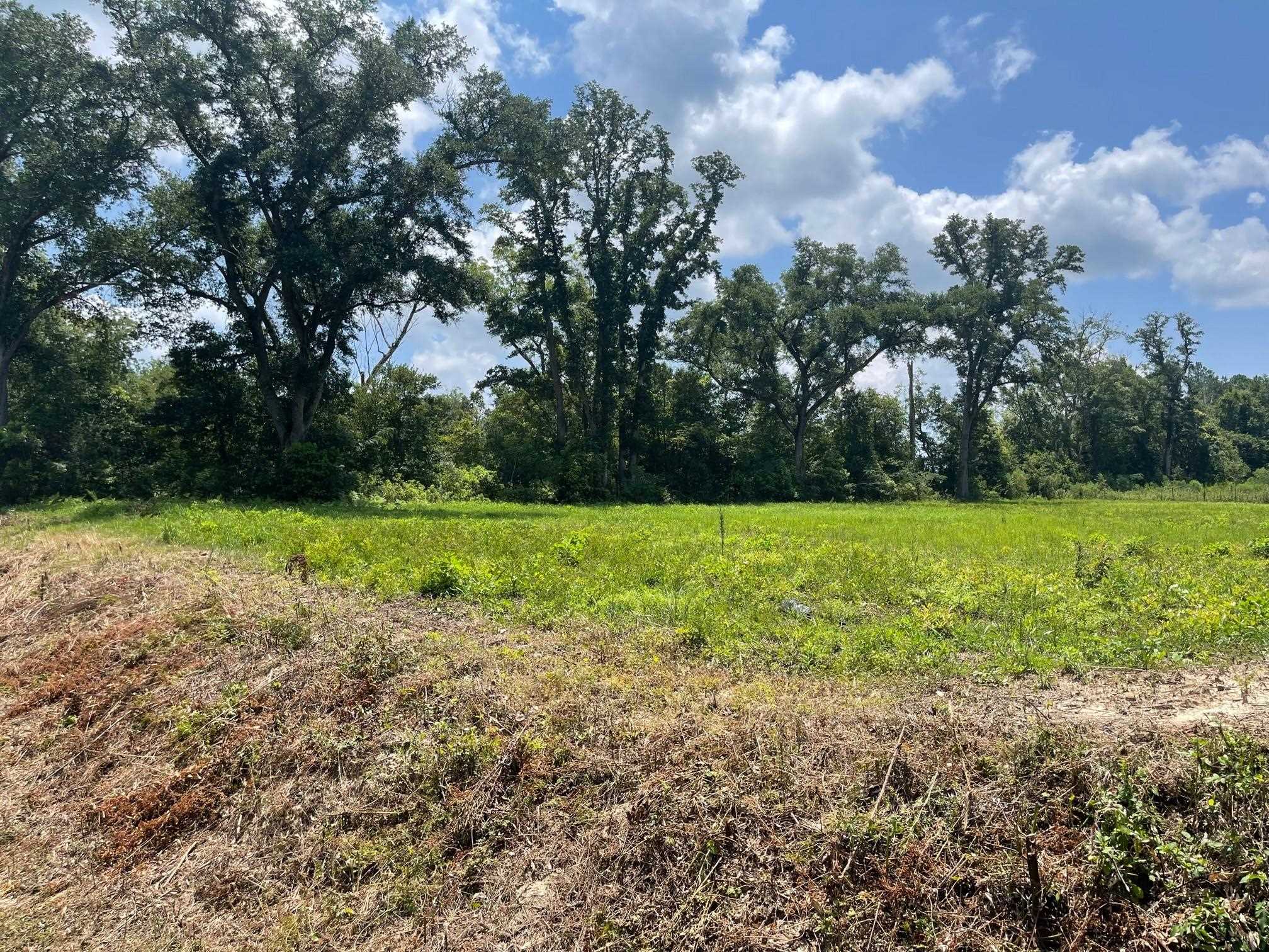 25636 Highway 98 Elberta, AL 36530 - Photo 8 of 24