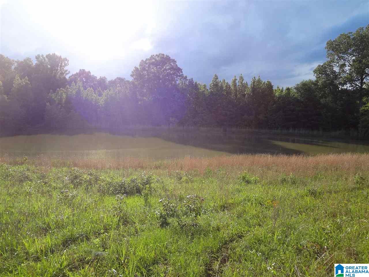 225 Pleasant Hills Road Odenville, AL 35120 - Photo 24 of 42