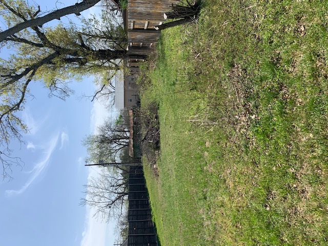 0 Austin Street Kyle, TX 78640 - Photo 6 of 9 a backyard of a house with lots of green space