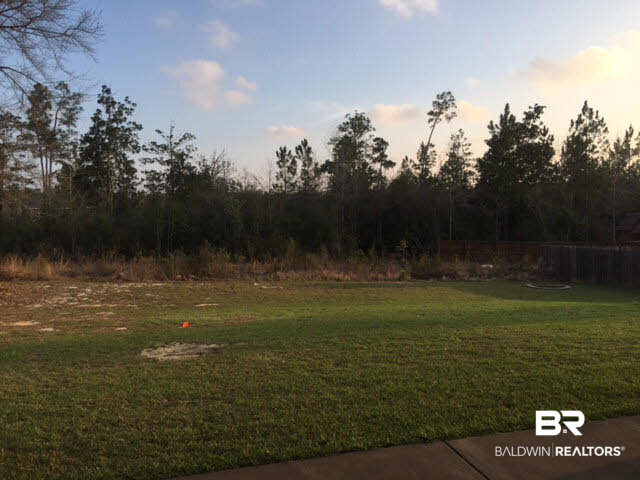 31934 Wildflower Trail Daphne, AL 36527 - Photo 18 of 18