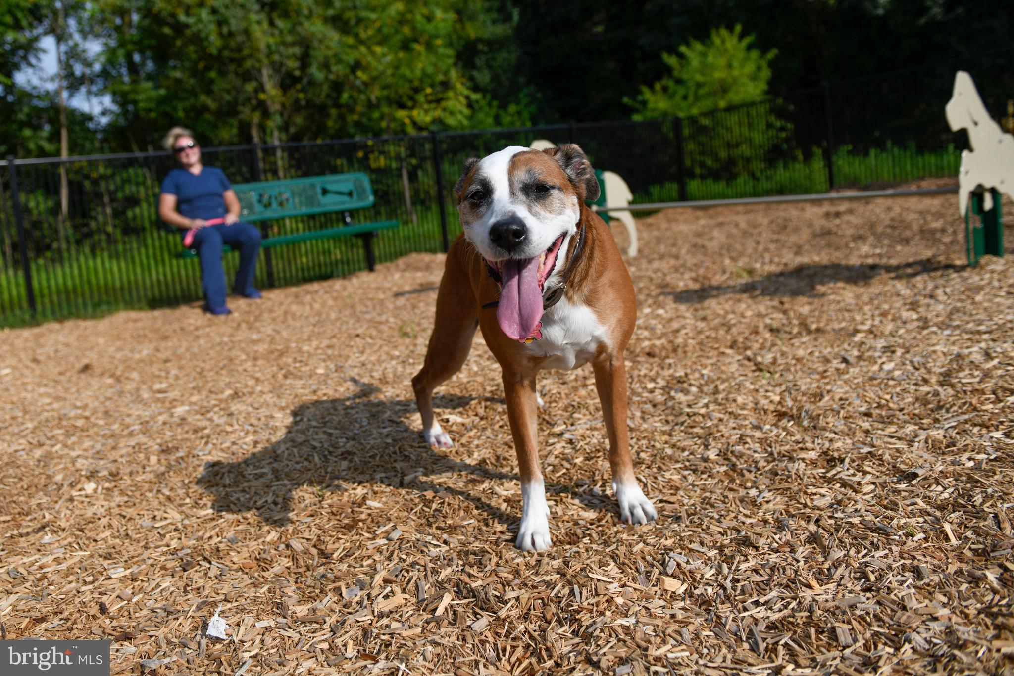 4107 Rowen Court York, PA 17403 - Photo 28 of 28 a childrens park with lots of swings and slides