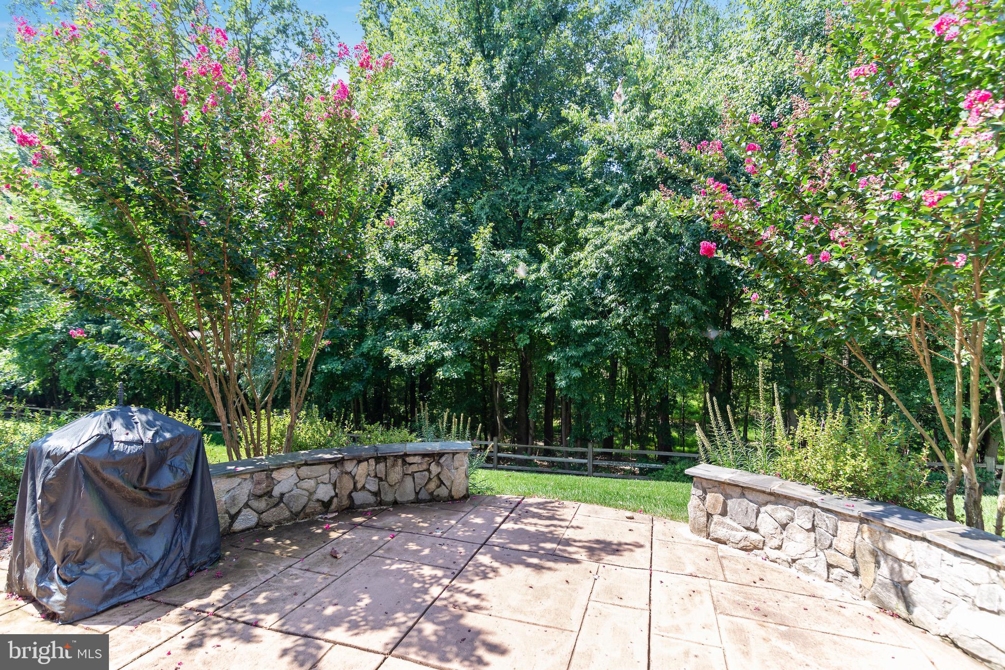 23122 Persimmon Ridge Road Clarksburg, MD 20871 - Photo 39 of 43 Back patio