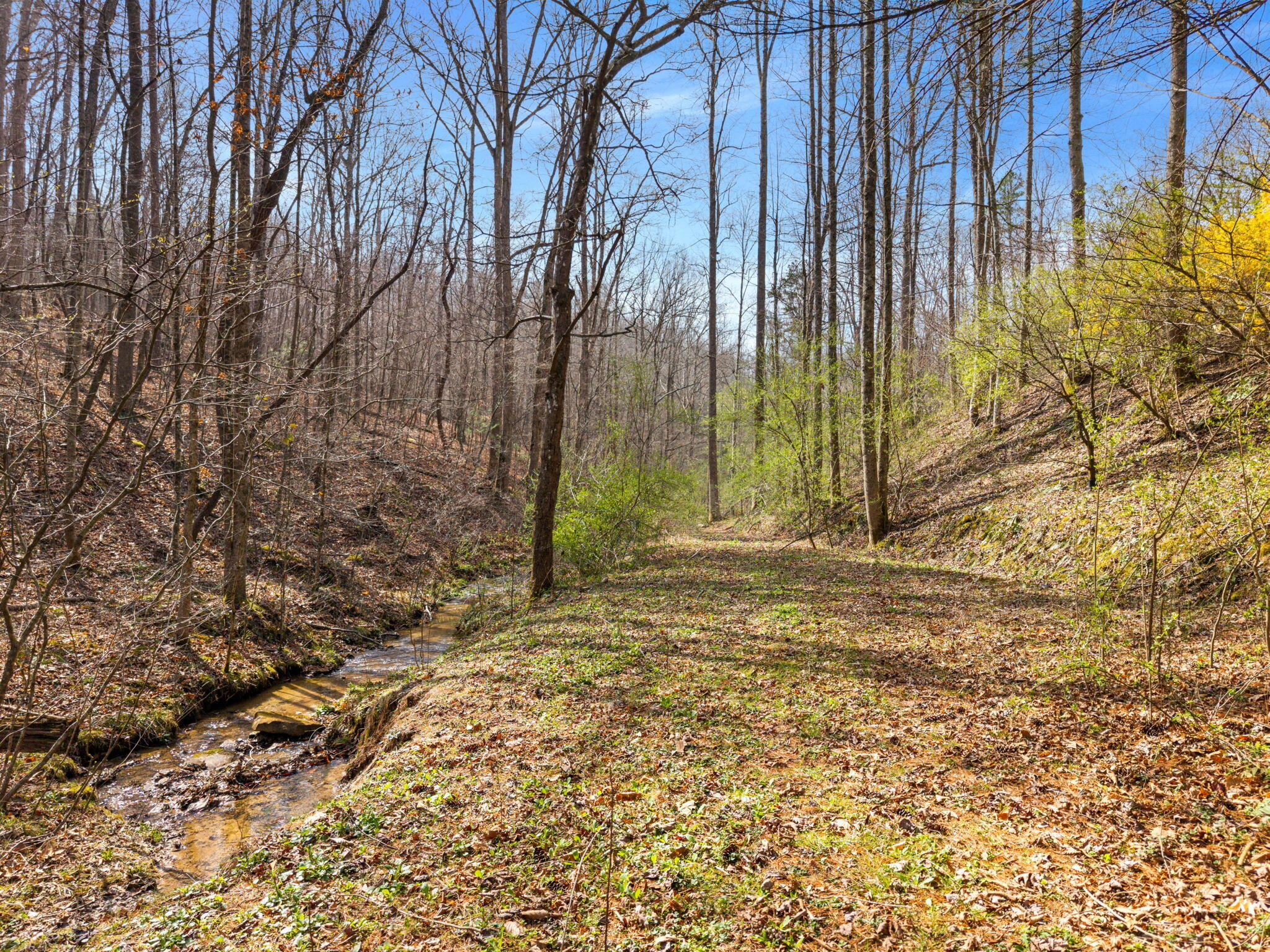 1230 Possum Trot Road Manchester, KY 40962 - Photo 5 of 25 7-web-or-mls-DJI_20260321113956_0012_D