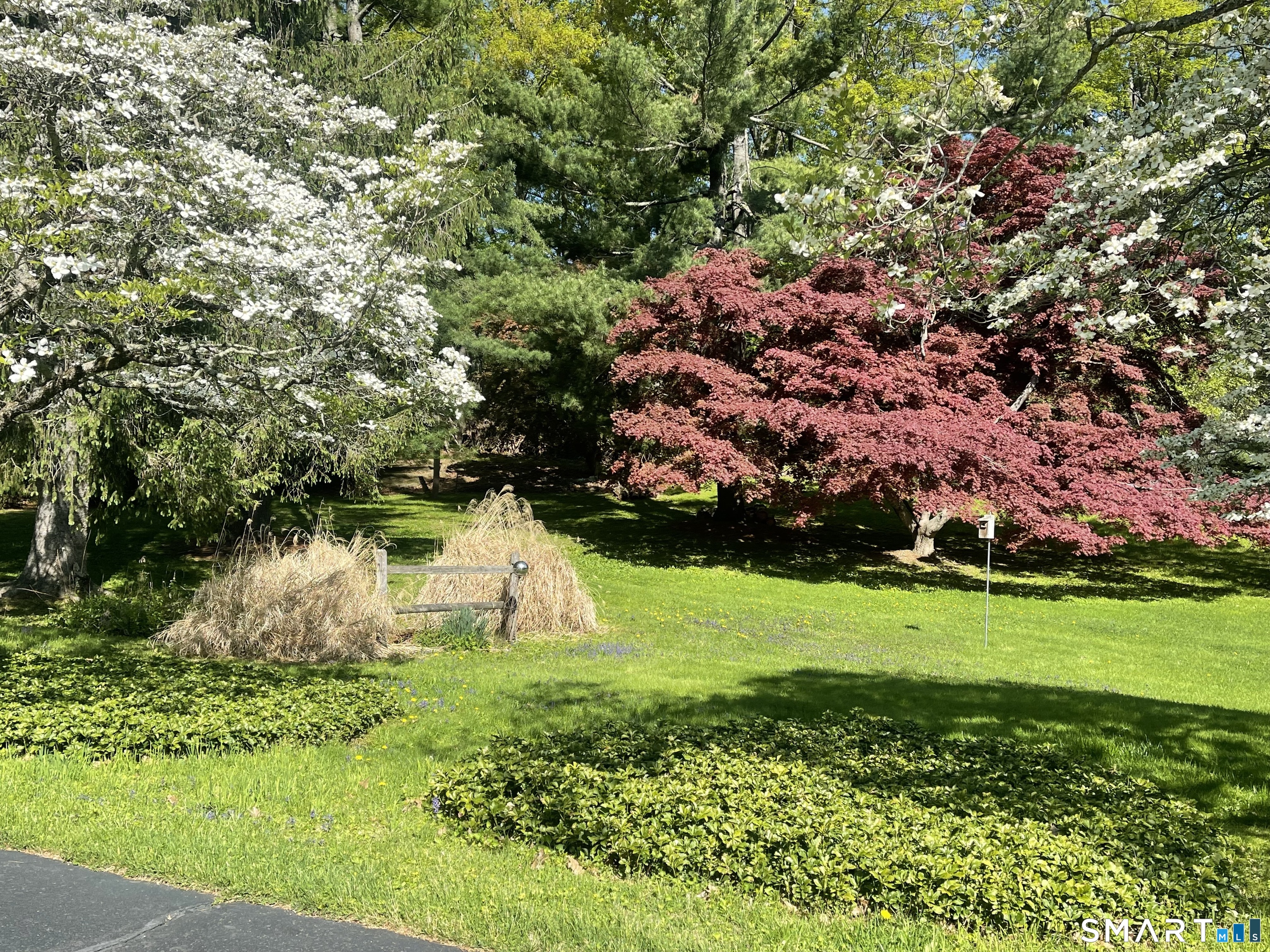9 Apple Lane Redding, CT 06896 - Photo 5 of 39 A better view of the land to the right of the driveway ideal for activities and gardening