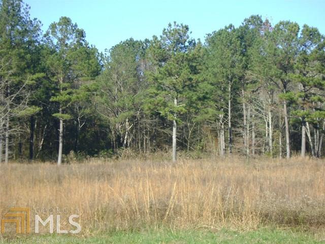 0 Fish Creek Road Cedartown, GA 30153 - Photo 1 of 1
