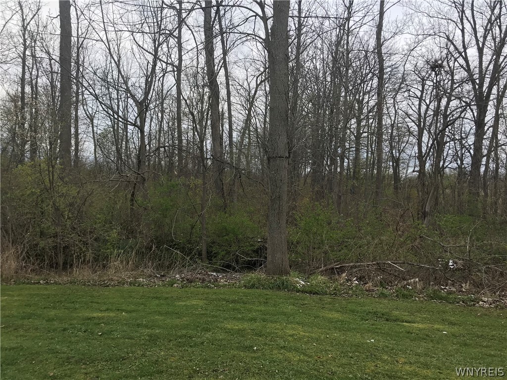 6773 Rapids Road Lockport Town, NY 14094 - Photo 4 of 21