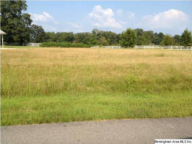 Lot 2 Perkins Landing Road, Unit 2 Columbiana, AL 35051 - Photo 1 of 5 Gallery Image 1