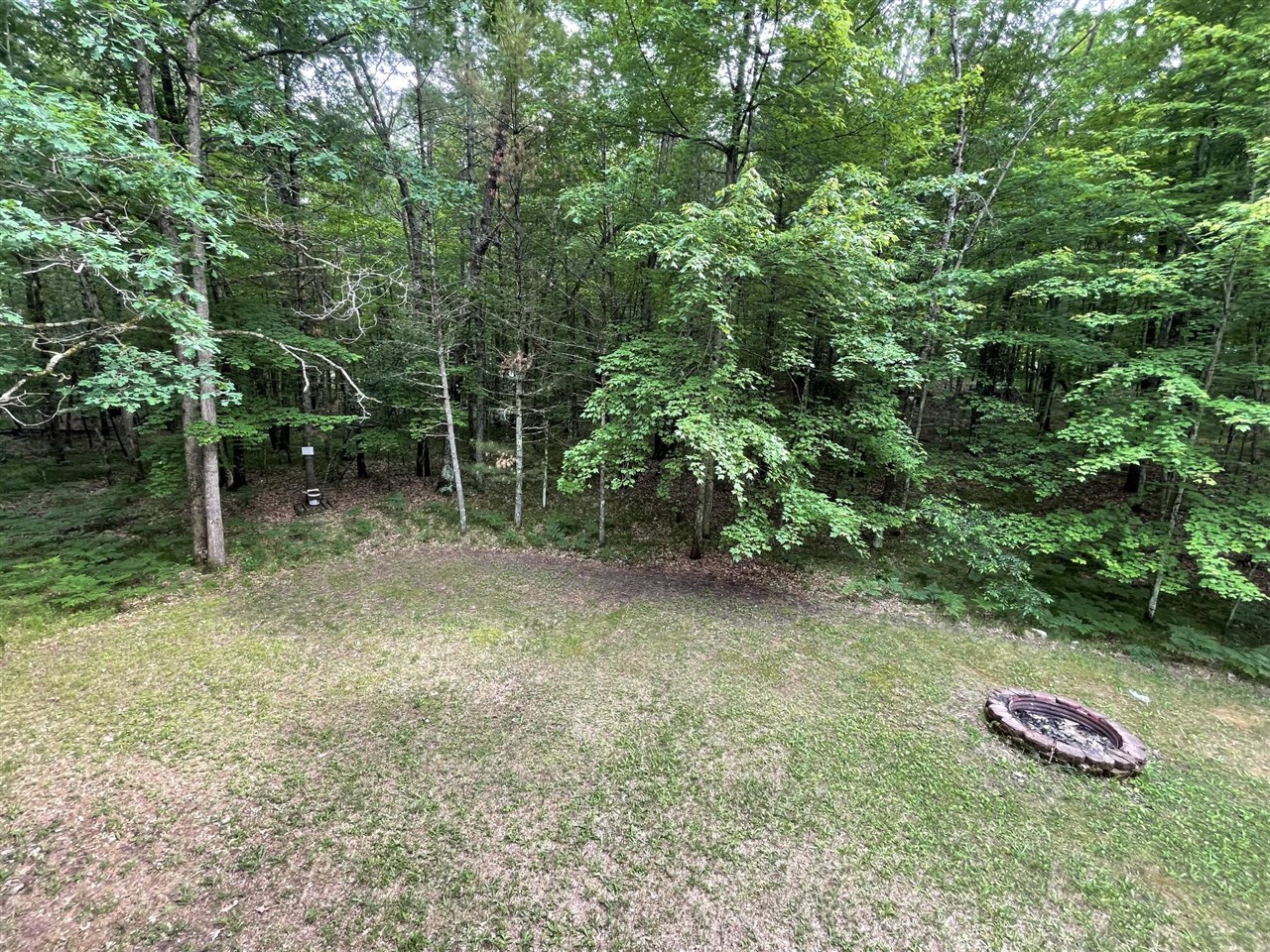 8725 West River Road Irons, MI 49644 - Photo 30 of 37