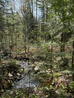 R1-37b O'Dell Road New Sharon, ME 04955 - Photo 24 of 32 IMG_5175