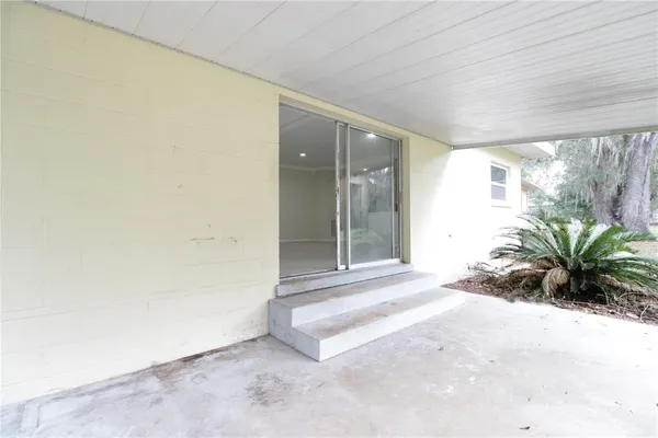 a view of a room with a potted plant and a window