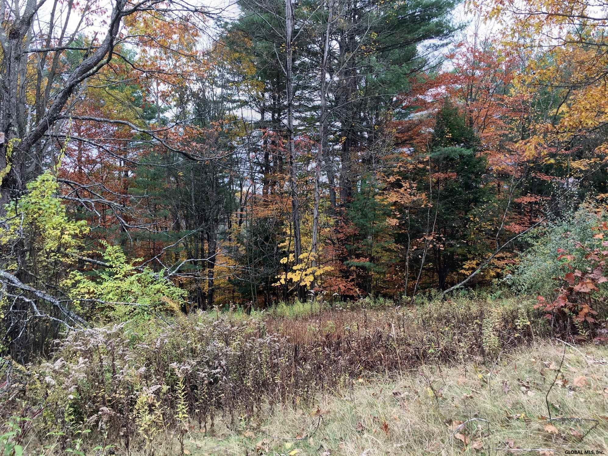 685 Co Rte 25 Corinth, NY 12822 - Photo 20 of 28 Photo 21