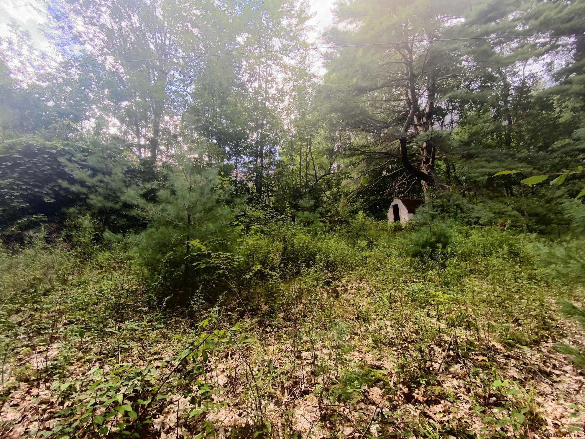 685 Co Rte 25 Corinth, NY 12822 - Photo 5 of 28 Photo 5