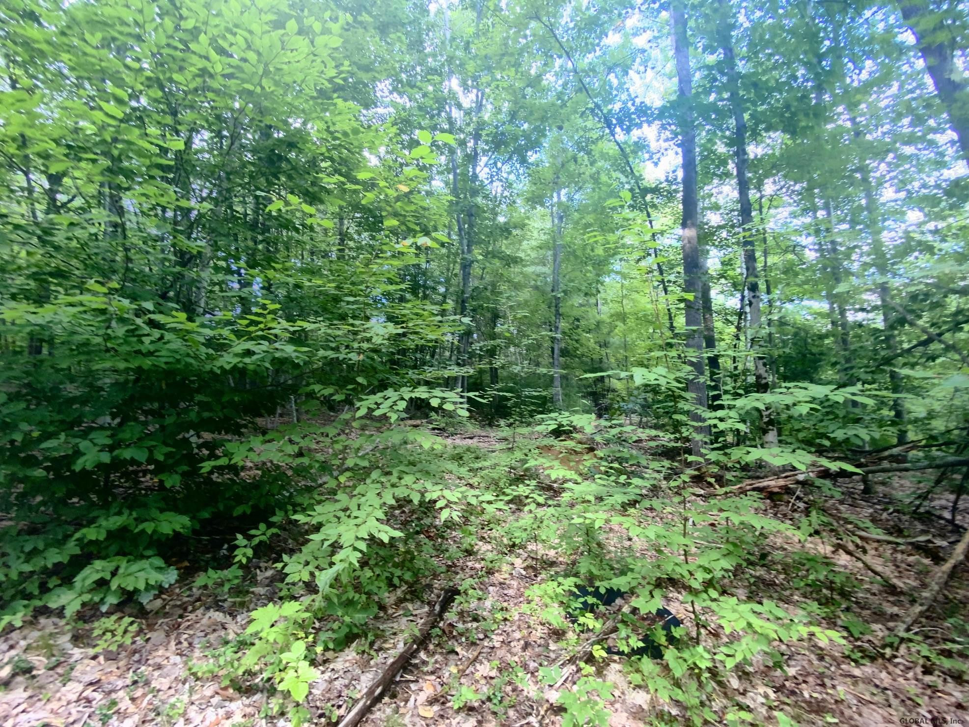 685 Co Rte 25 Corinth, NY 12822 - Photo 6 of 28 Photo 6