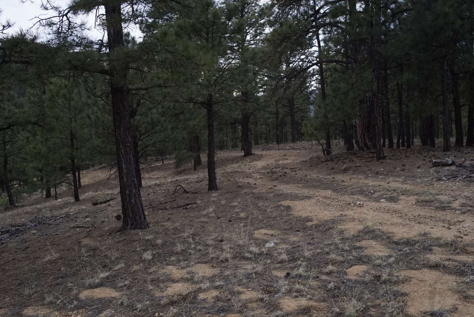 0 A015 County Road Mora, NM 87732 - Photo 23 of 40