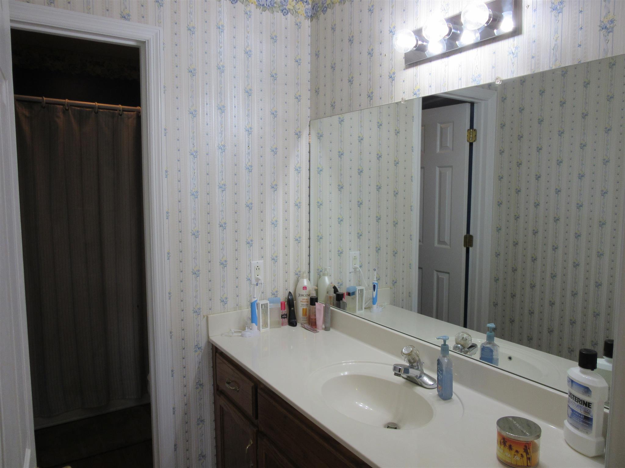 3629 Kelton Jackson Road Springfield, TN 37172 - Photo 6 of 12 Master bath with tub/shower combo.
