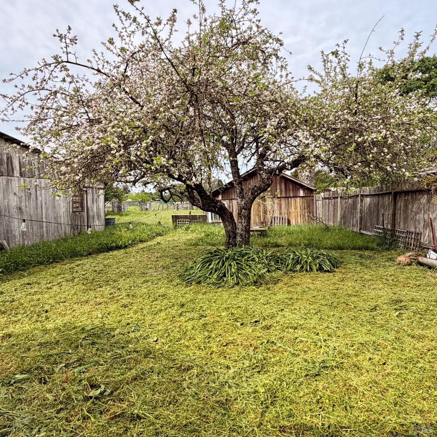 1047 South Wright Road Santa Rosa, CA 95407 - Photo 7 of 10