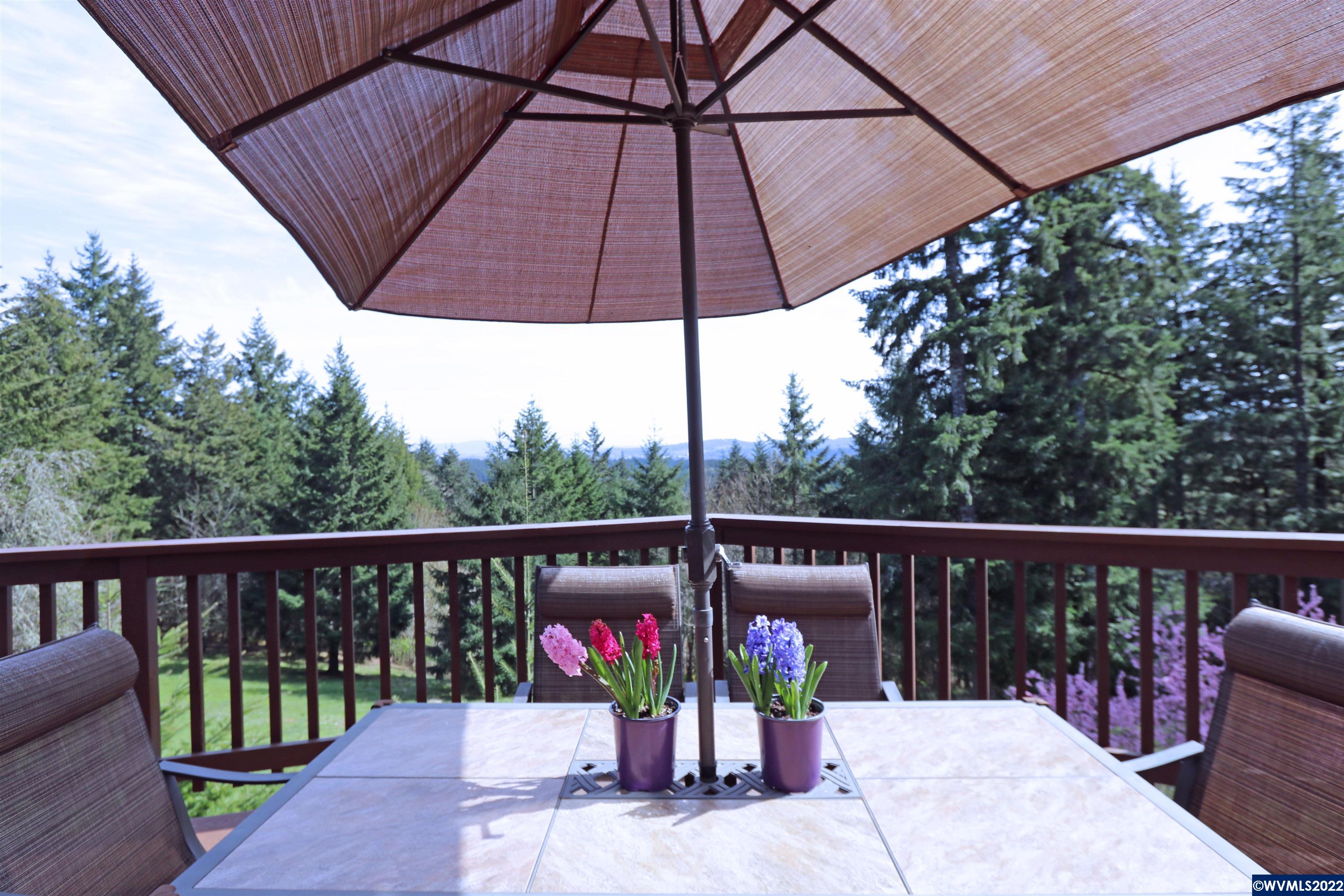 16955 Selden Road Dallas, OR 97338 - Photo 29 of 41 a view of a roof deck