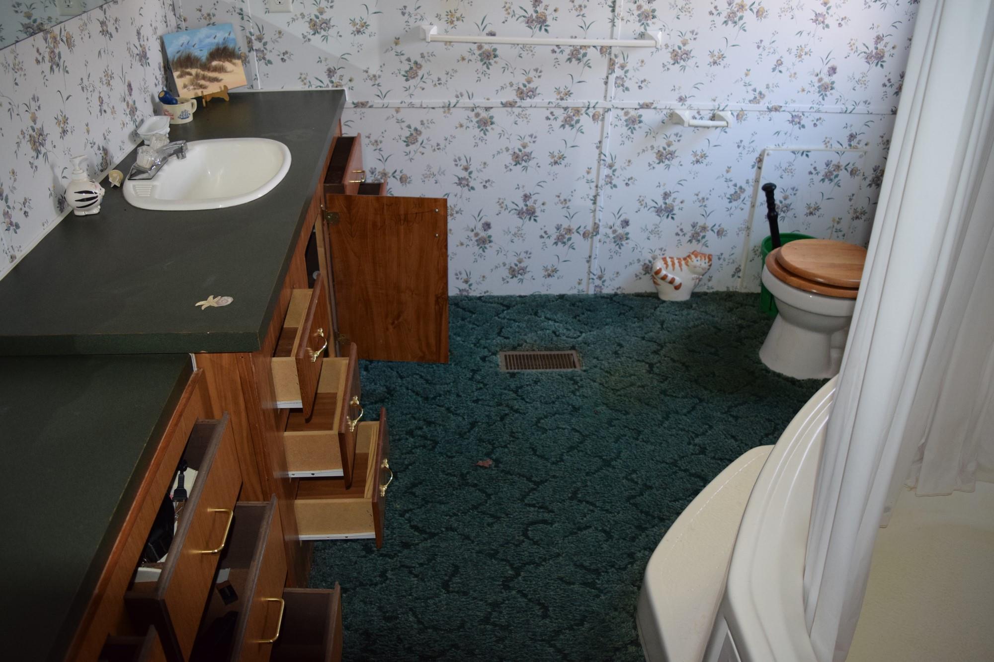 1050 Half Pone Road Erin, TN 37061 - Photo 13 of 13 master bathroom